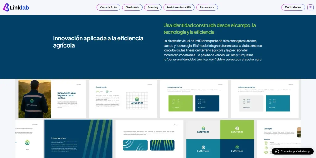 top 2 mejores agencias de branding,linklab