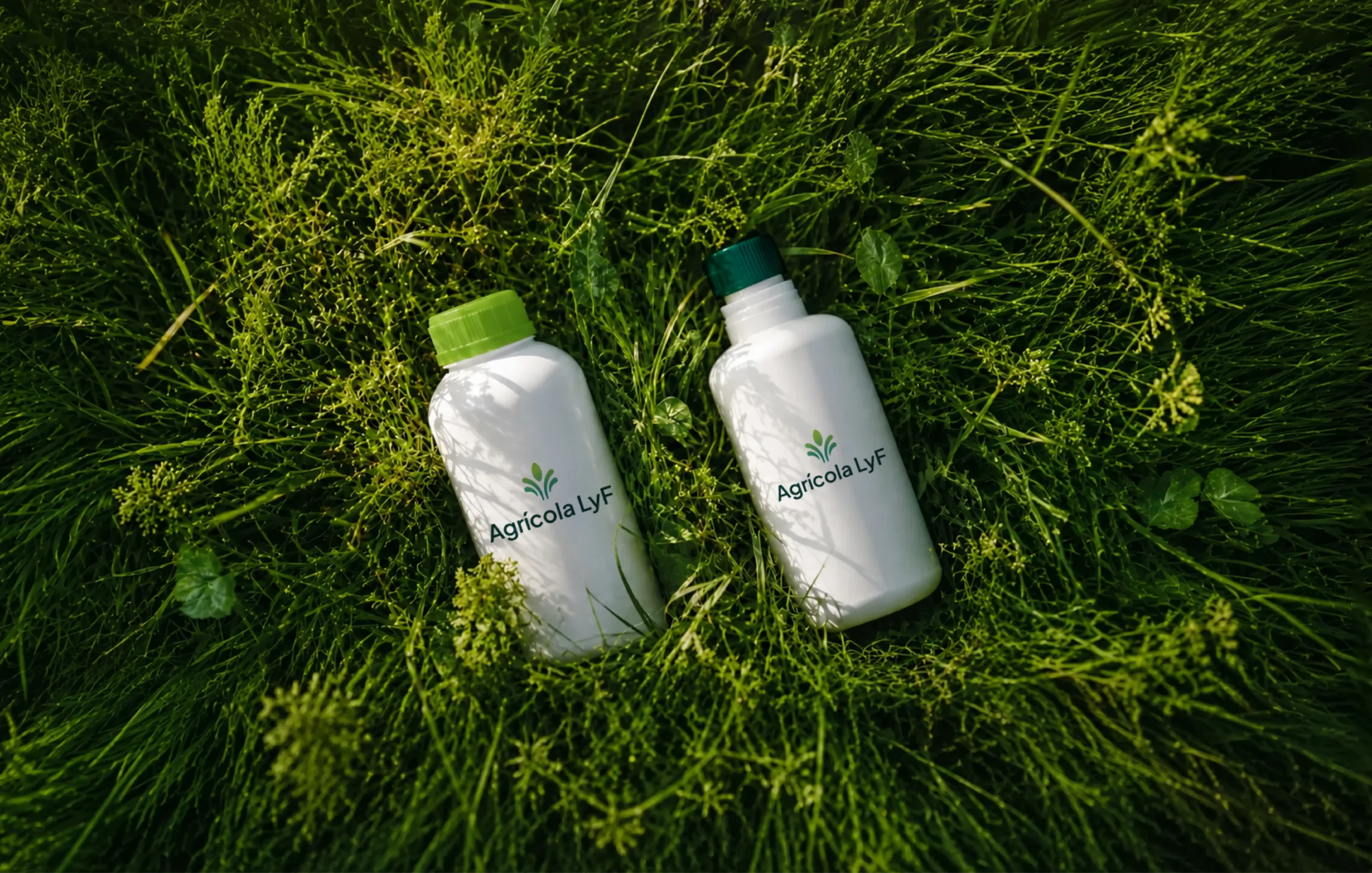 Mockups de identidad visual de Agrícola LYF aplicados en productos